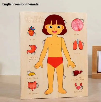 Child's Anatomy Puzzle Set