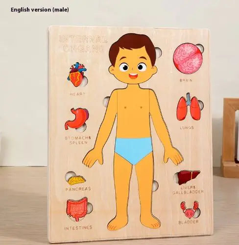 Child's Anatomy Puzzle Set