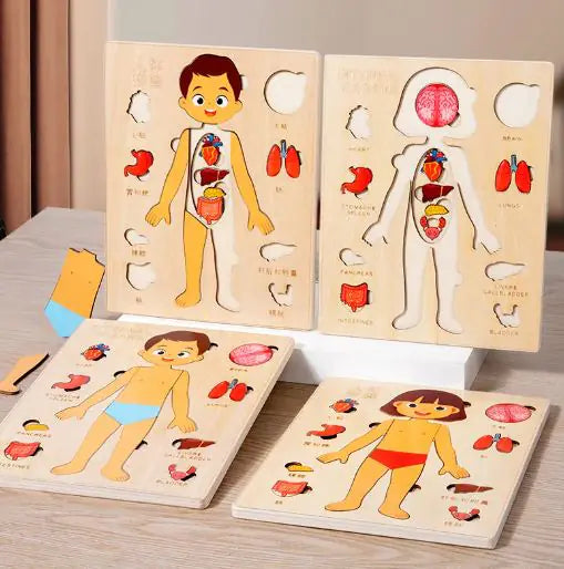 Child's Anatomy Puzzle Set